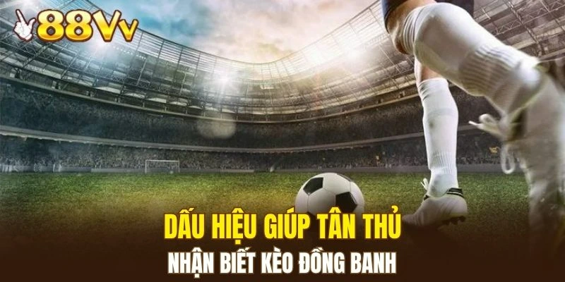 Dàn Lô Hay Về Nhất - Bí Kíp Nâng Cao Xác Suất Trúng Lớn 6 Dấu hiệu giúp tân thủ nhận biết kèo đồng banh