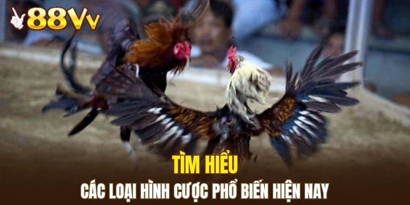 Dàn Lô Hay Về Nhất - Bí Kíp Nâng Cao Xác Suất Trúng Lớn 6 Điểm qua những loại hình kèo cược