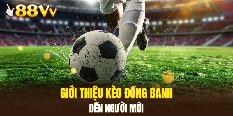 Dàn Lô Hay Về Nhất - Bí Kíp Nâng Cao Xác Suất Trúng Lớn 5 Giới thiệu kèo đồng banh đến người mới