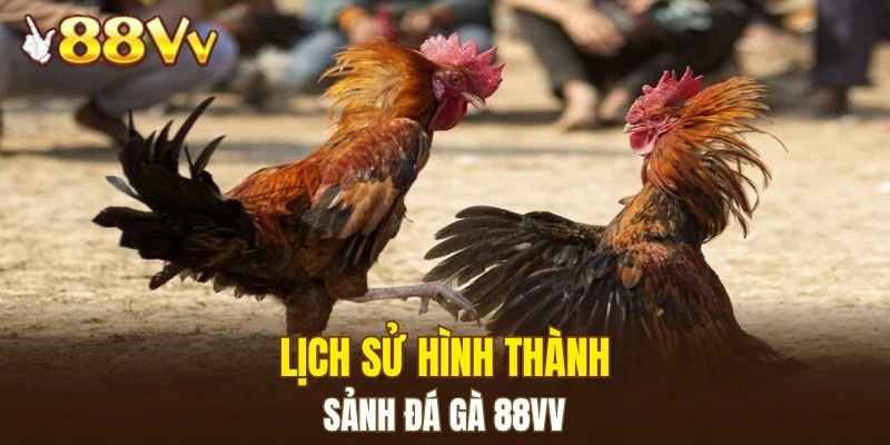 Đá Gà 88VV 4 Lịch sử hình thành sảnh đá gà 88VV